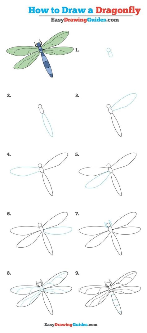 dragonfly drawing easy|sofia name with dragonfly drawing.